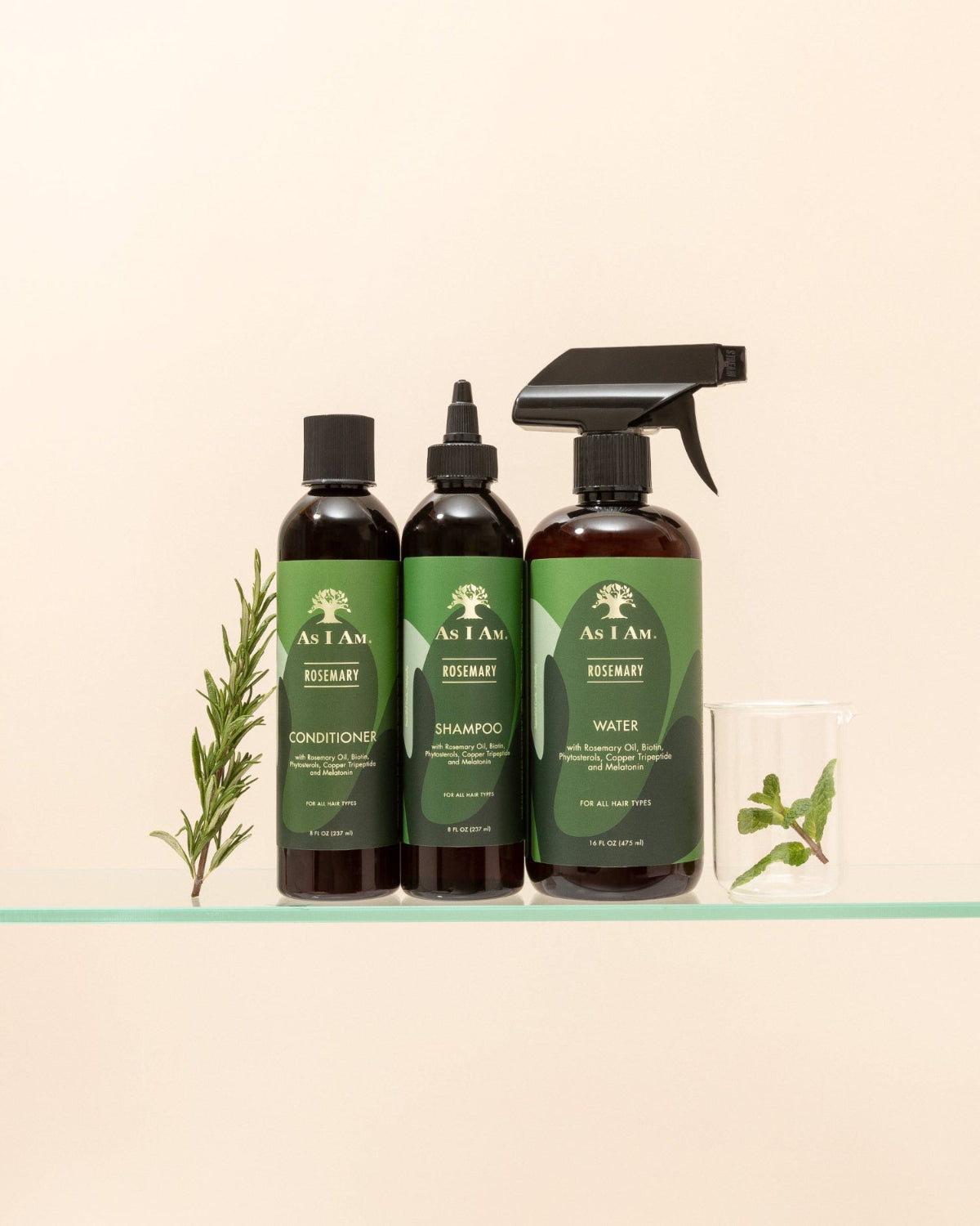 Rosemary collection image