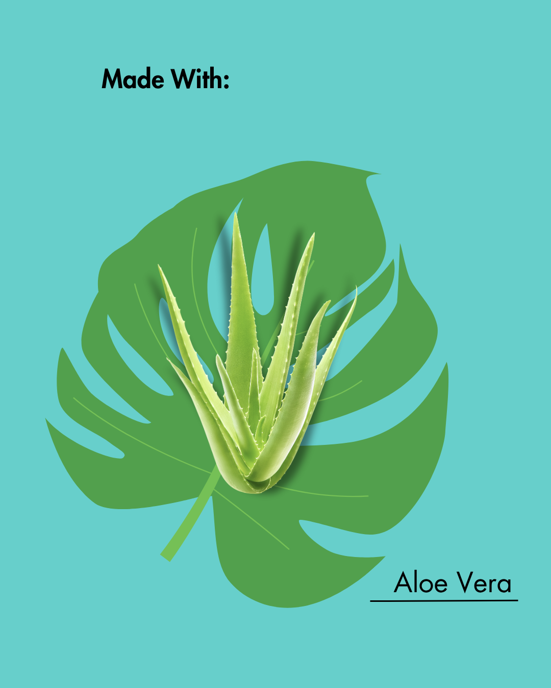 Aloe vera plant on a green leaf with 'Made With: Aloe Vera' text on a teal background