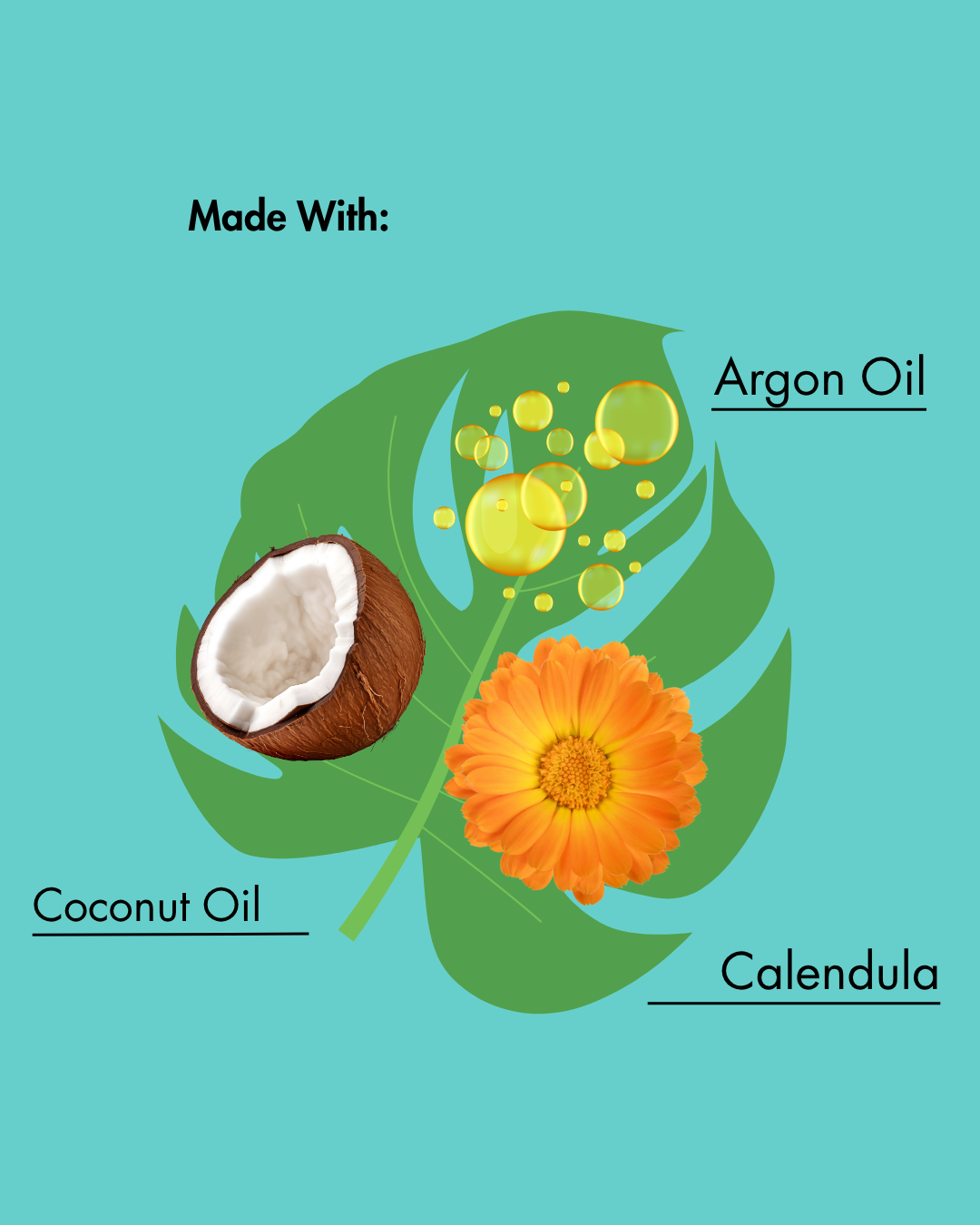 Product label with coconut, calendula flower, and argan oil on a teal background