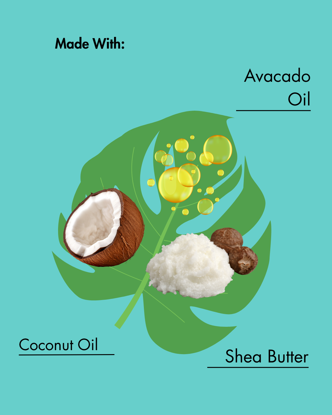 Illustration of avocado, coconut, and shea butter with text on a teal background