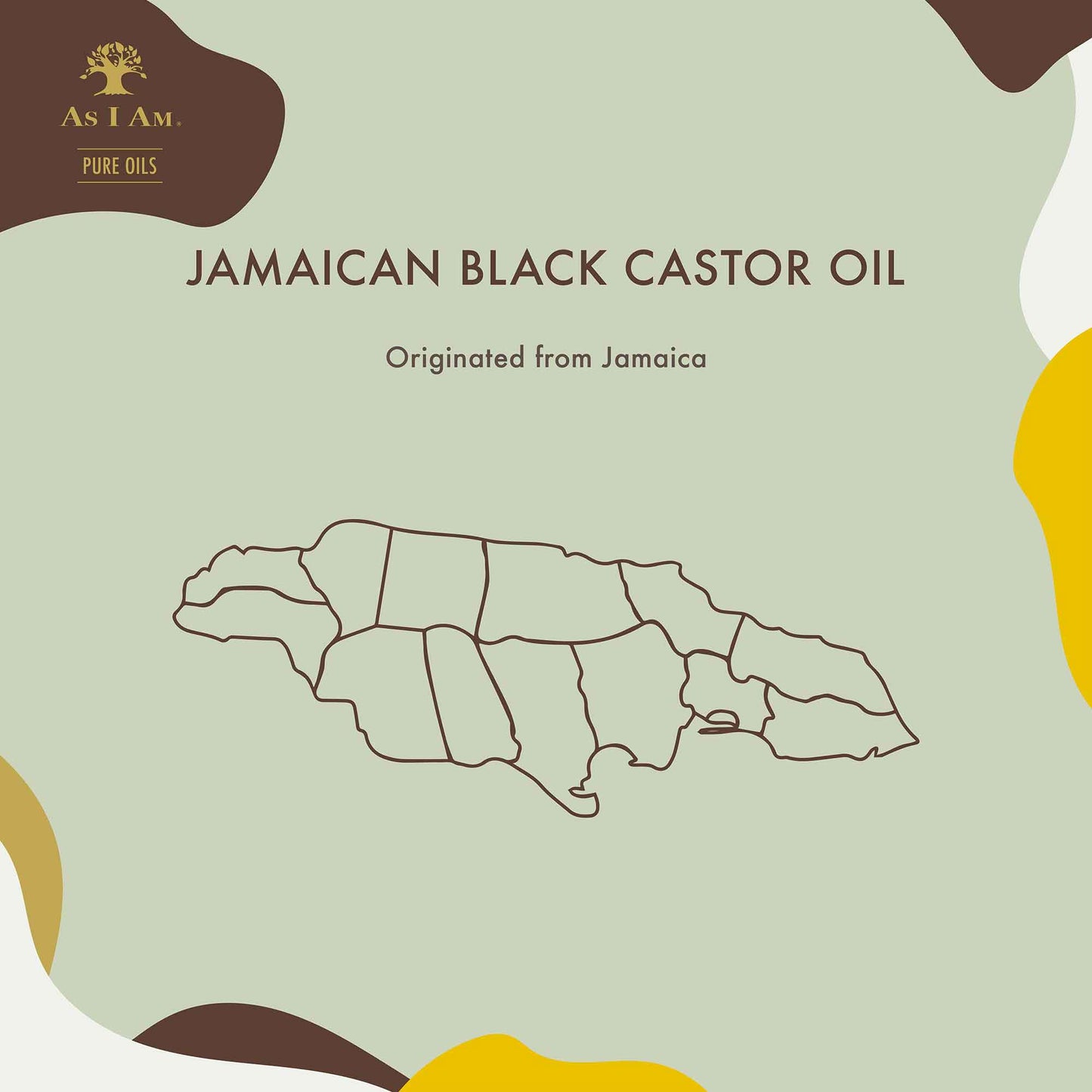 Pure Oils Virgin Jamaican Black Castor Oil