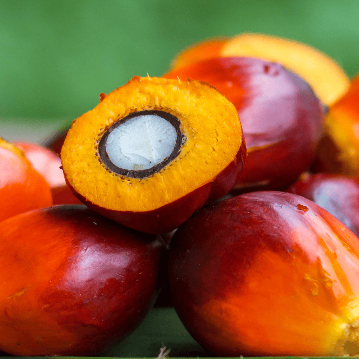 Close-up of a palm fruit with a cut section revealing its interior.