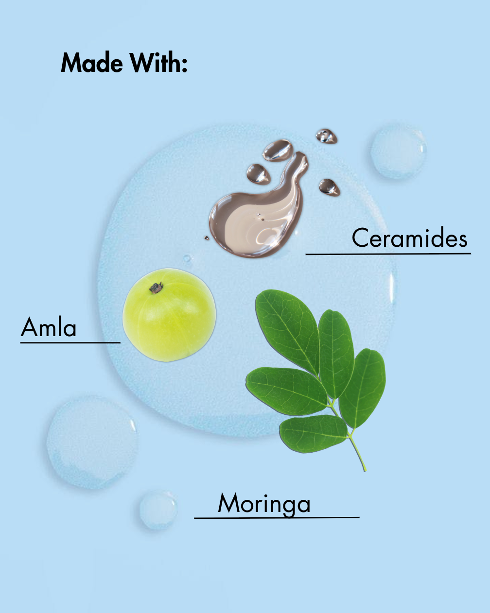 Ingredients used in a skincare product on a blue background with 'Amla', 'Ceramides', and 'Moringa' labeled.