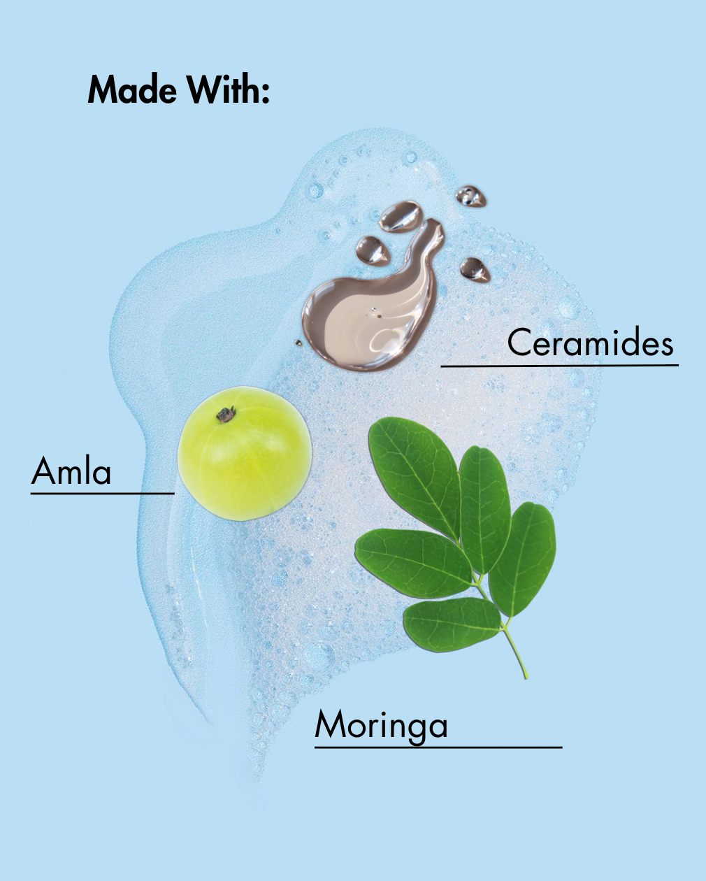 Diagram showing Amla, Moringa, and Ceramides with a blue background