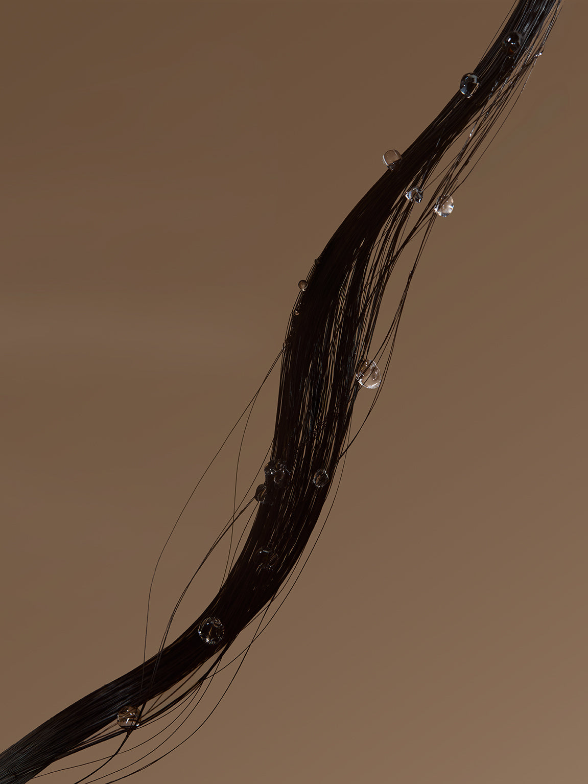 A close-up of a dark, glossy hair strand with clear water droplets hanging from it against a solid warm brown background.