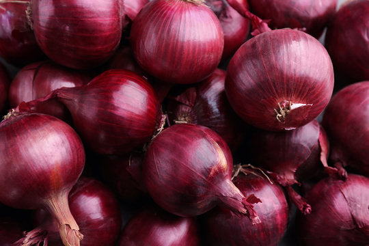 Close-up of red onions with a dark background