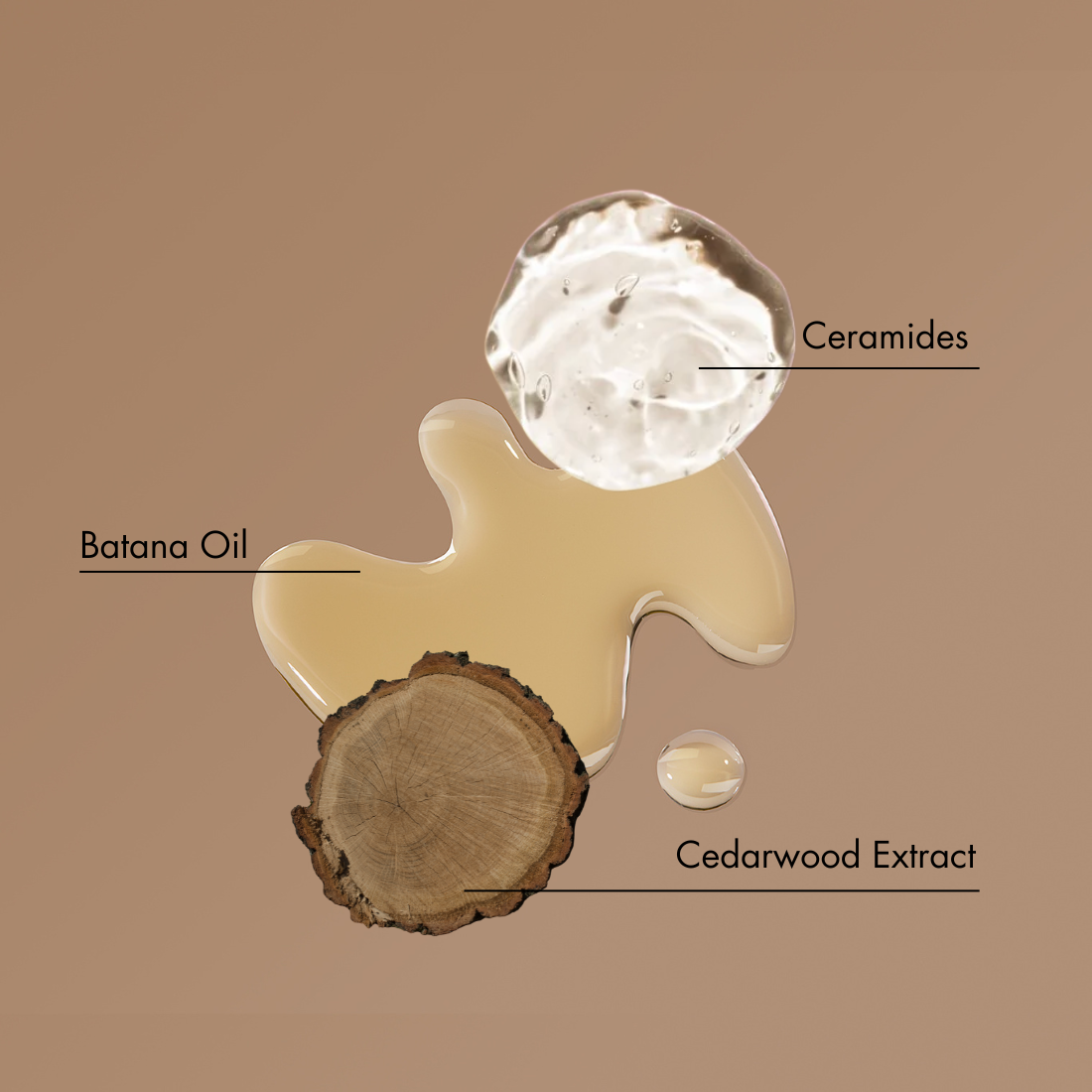 Diagram of banana oil, ceramides, and cedarwood extract on a beige background