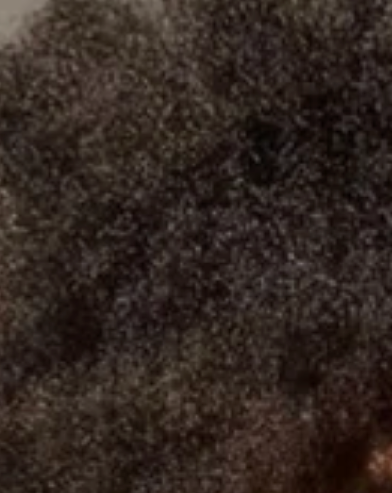 Close-up of brown textured hair