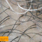 Dry & Itchy Scalp Care Dandruff Conditioner